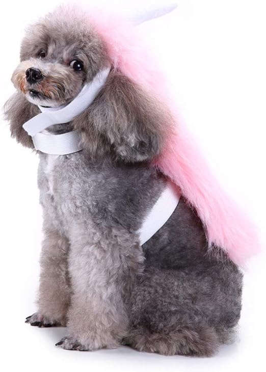 unicorn dog outfit