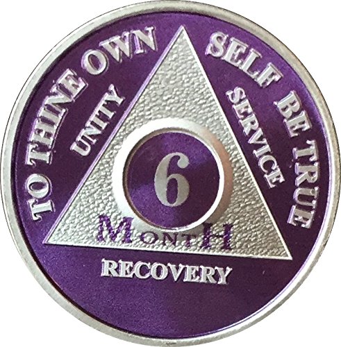 6 Month Purple Silver Plated AA Medallion Chip
