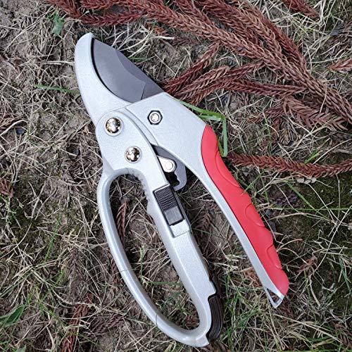 gonicc 8" Professional SK-5 Steel Blade Ratchet Anvil Pruning Shears(GPPS-1013), Ratcheting Mechanism, Anvil Groove Design, Reinforced Design Handle, Garden Hand Pruners.