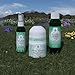 Silver Shield Deodorant 2X Refill - Original Formula | All Natural Colloidal Silver Deodorant | 4 oz. Refill