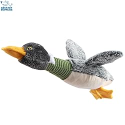 Best Pet Supplies Interactive Squeaky Dog Chew
