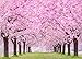 GYA 7x5ft Cherry Blossoms Street Studio Photography Backdrop Beautiful Flower Background Photo for Wedding Vinyl