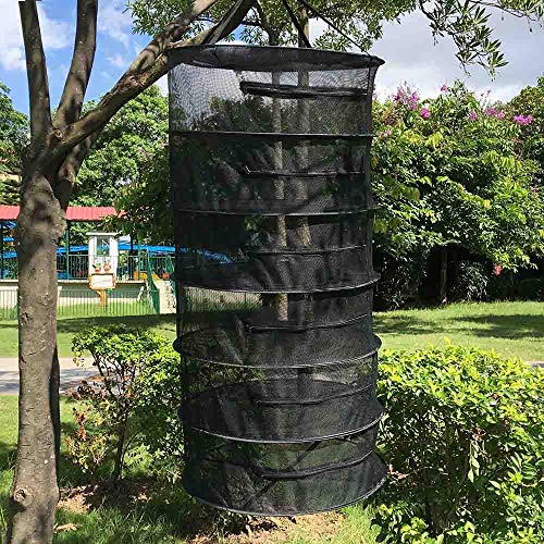 EACHON Herb Drying Rack Hanging Dry Net Durable Mesh Collapsible Hanging Dryer with Zipper Net Lights Carrying Case Indoor & Outdoor (6 Layer) (Black 23.555.5) - Thumbnail 7