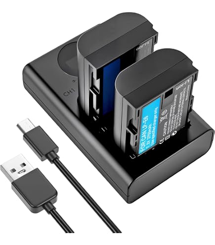 Amazon.com : 2 Pack Battery and USB Battery Charger for Canon EOS