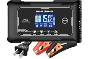 RCGCBC lifepo4 charger 15-Amp Fully-Automatic Smart Charger,12V and 24V Battery Charger,12V/15A 24V/10A Lead-Acid(AGM/Gel/SLA)/Lithium lron LiFePO4 Trickle Charger,Pulse Repair Car Battery Charger,Deep cycle