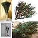 Polytree 10 Pcs Natural Peacock Feather with Eye Tail Feathers for Home Decor