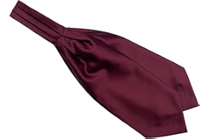 Elfeves Burgundy Red Woven Cravat Self Ascot Solid Color Ties Engagement Gifts for Men