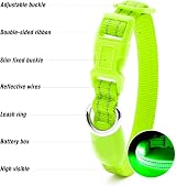 Visinite LED Dog Collar USB Rechargeable Reflective Night Safety Collar Green S view 3
