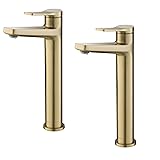 KRAUS Indy Single Handle Vessel Bathroom Faucet in