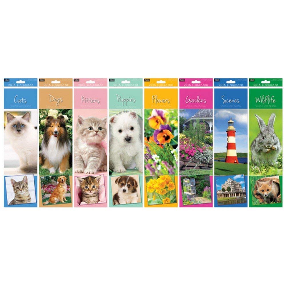 Atlona Tallon Photographic Slim Calendar Assorted 0529, Various, One Size