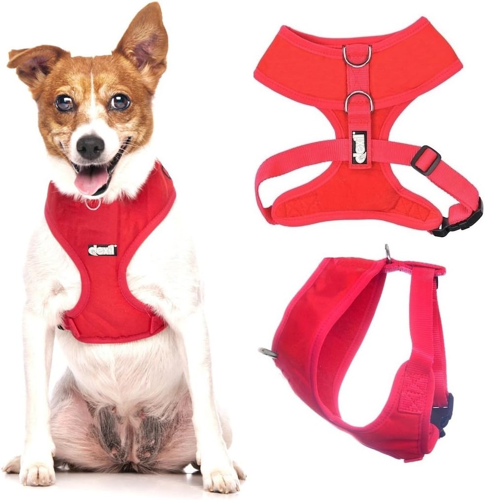 Dexil Elite Range Luxury Padded Waterproof Adjustable Back and Front Ring Non-Pull Xsmall Pet Dog Vest Harness (Flash Red - Image 3