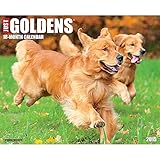 Goldens 2015 Wall Calendar