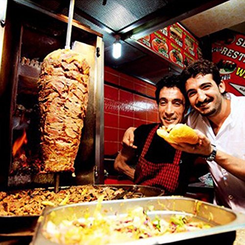 6 Li+Bai+Professional+Wireless+Electric