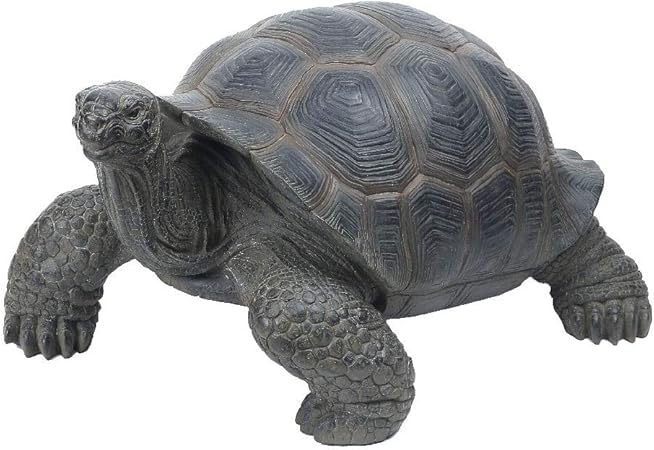 Amazon Benny S ゾウガメ Qy 155 おもちゃ雑貨 おもちゃ