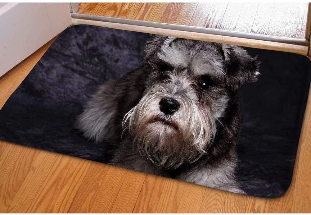 Dellukee Dog Indoor Outdoor Doormats Black Non Slip Durable Washable Welcome Unique Home Decorative Door Mats Rugs for…