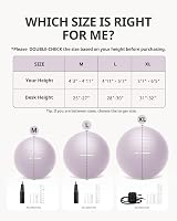 Trideer Exercise Ball Anti-Burst Gym Ball with Pump 45-85 cm 330 lb view 7