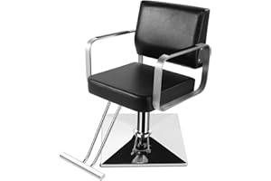 WINEDYOUNG Salon Chairs for Hair Stylist Chair Hydraulic Pump Hair Salon Chair 360 Degree Rotating Barber Chair, Spa Beauty Equipment for Hair Stylists, Tattoo Artists, Cosmetologists (Silvery)