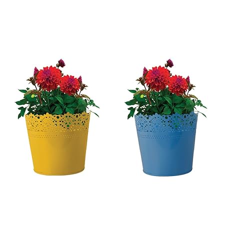 TrustBasket Set of 2 - Half Lace Finish Yellow and Blue Plantes
