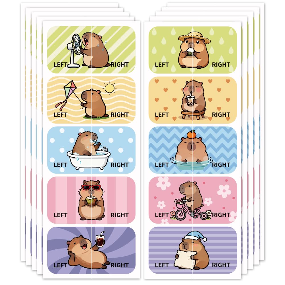 Peacoblue Shoes Stickers for Shoes Learning Left Right, Cute Capybara 100pcs(50 Pairs) Self-Adhesive Shoes Stickers Labels Decals to Help Put Shoes On — image 1
