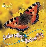 Caterpillar to Butterfly (Life Cycles (QEB Publishing))