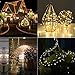 Cakuja Dimmable String Lights Copper Wire Lights, Décor Rope Lights For Seasonal Decorative Christmas Holiday, Wedding, Parties(100 Led s, 33 ft, Warm White)