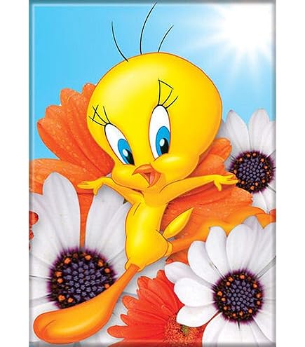 Amazon.com: Ata-Boy Looney Tunes Tweety on Green with Dog