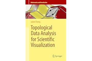Topological Data Analysis for Scientific Visualization (Mathematics and Visualization)