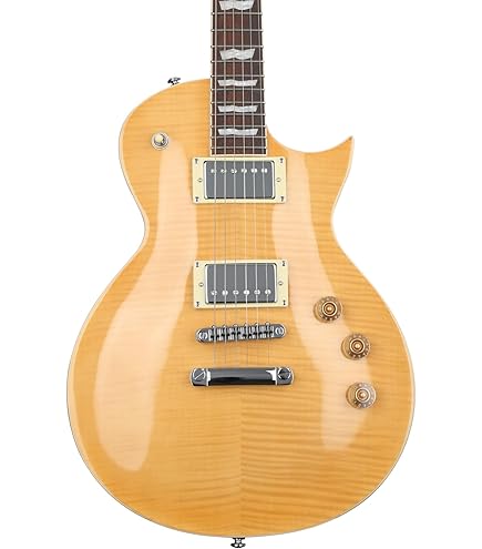 Amazon.com: ESP LTD Eclipse EC-256 Electric Guitar - Vintage Gold