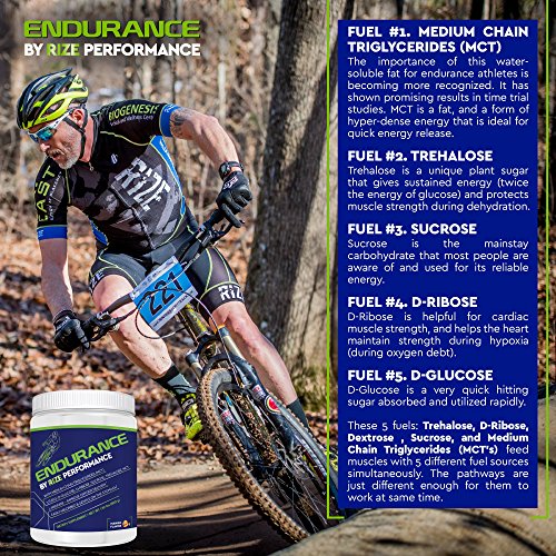 Endurance - Thumbnail 2