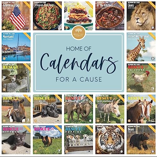 2024 Venice Monthly Wall Calendar by Bright Day, 12 x 12 Inch