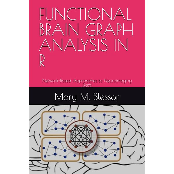 Computational and Network Modeling of Neuroimaging Data