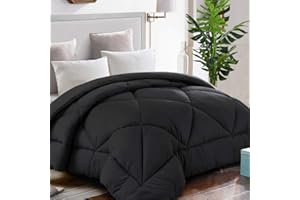 TEKAMON All Season Queen Comforter Winter Warm Summer Soft Quilted Down Alternative Duvet Insert Corner Tabs, Machine Washable Luxury Fluffy Reversible Collection for Hotel, Black