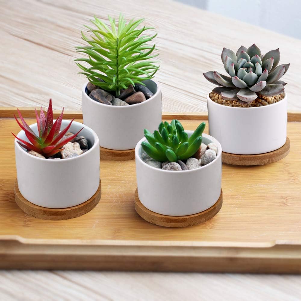 Succulent Pots, ZOUTOG White Mini 3.15 inch Ceramic Flower Planter Pot with Bamboo Tray, Pack of 6 - Plants Not Included: Kitchen & Dining