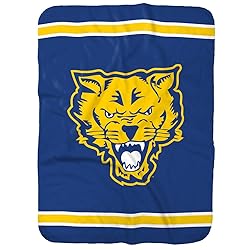 Fort Valley State University Primary Logo Stripes