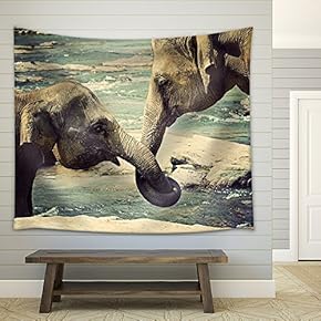 Elephant Kissing Represents Love, Sri Lanka. Vintage Nature Background - Fabric Wall Tapestry Home Decor - 51x60 inches