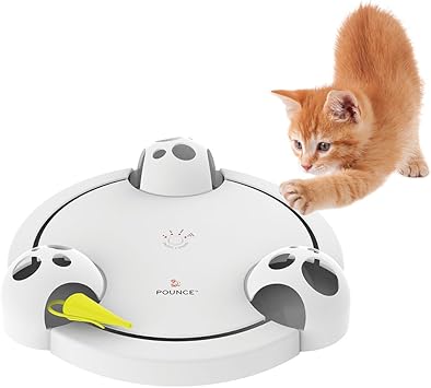 Amazon Petsafe 猫用おもちゃ フローリーキャット パウンス Petsafe おもちゃ 通販