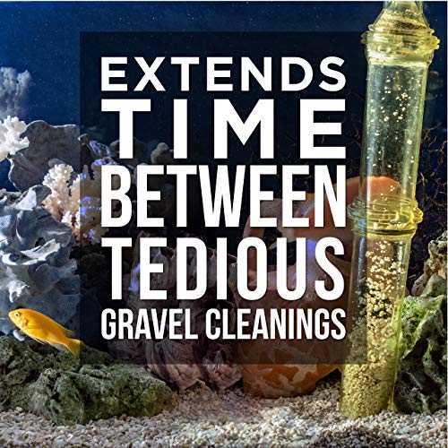 5 Cleaner+Freshwater+Saltwater+Natural+Pump+Free+Cleaning