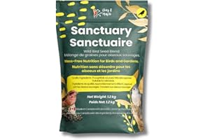 No Mess Wild Bird Seed – Chirp & Maple Sanctuary, Premium Garden-Friendly Bird Food for Cardinals, Chickadees & Finches, Hull