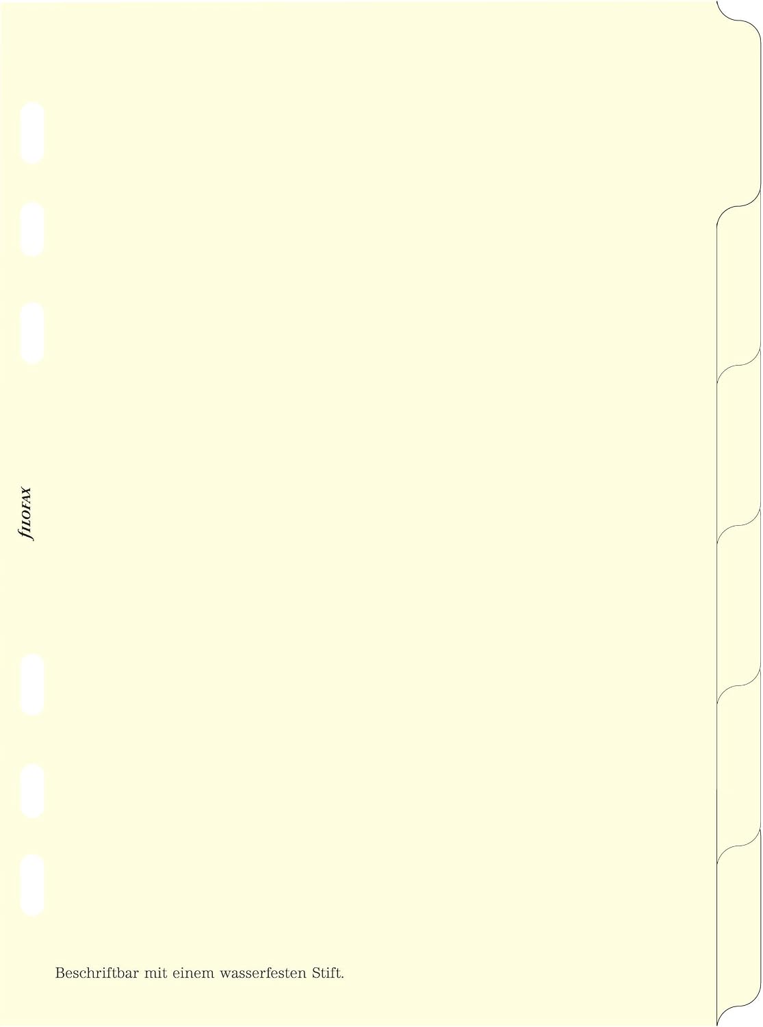 Filofax 250192 Register A5, in Blank, 6-He Set, White