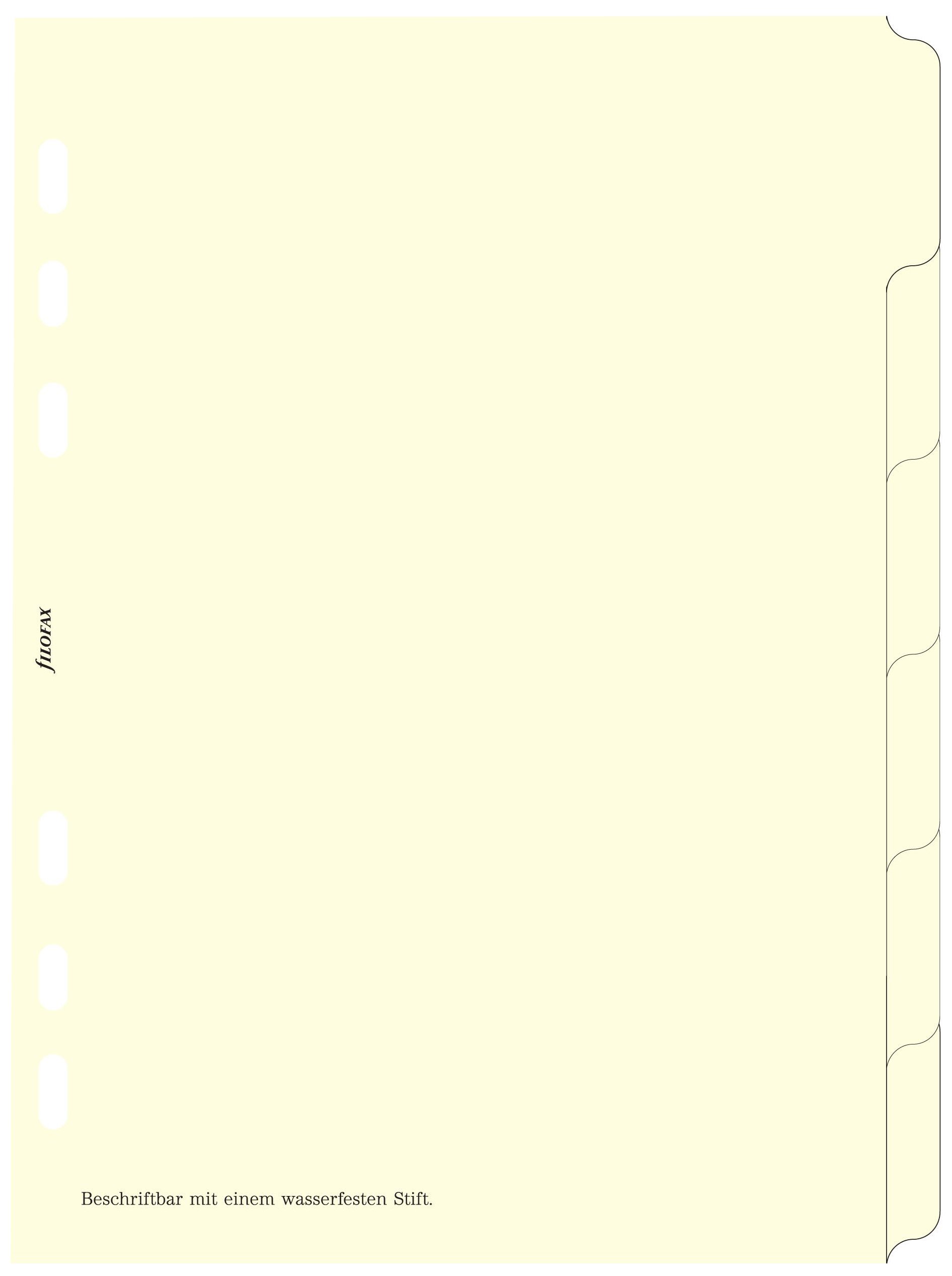 Filofax 250192 Register A5, in Blank, 6-He Set, White