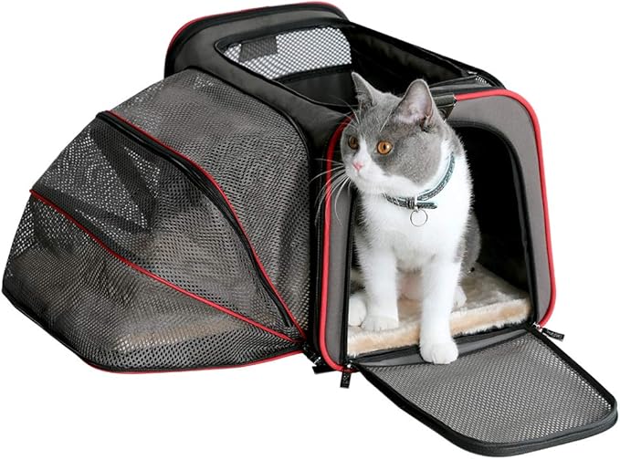 Petsfit Expandable Travel Top Zip Open Dog Carrier, Strong Wire Frame