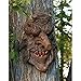 Design Toscano Tree Face Sculpture - Poison Oak - Greenman Tree Plaque Garden Decor