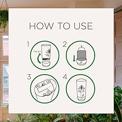 Air Wick Automatic Spray Starter Kit