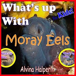 Moray Eel Amazing Pictures Amp Fun Facts On Animals