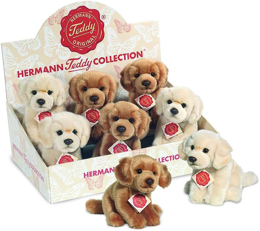 teddy golden retriever