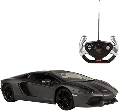 rastar coche teledirigido