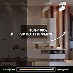 VANoopee 3-Color Zoomable Ceiling Spot Lights