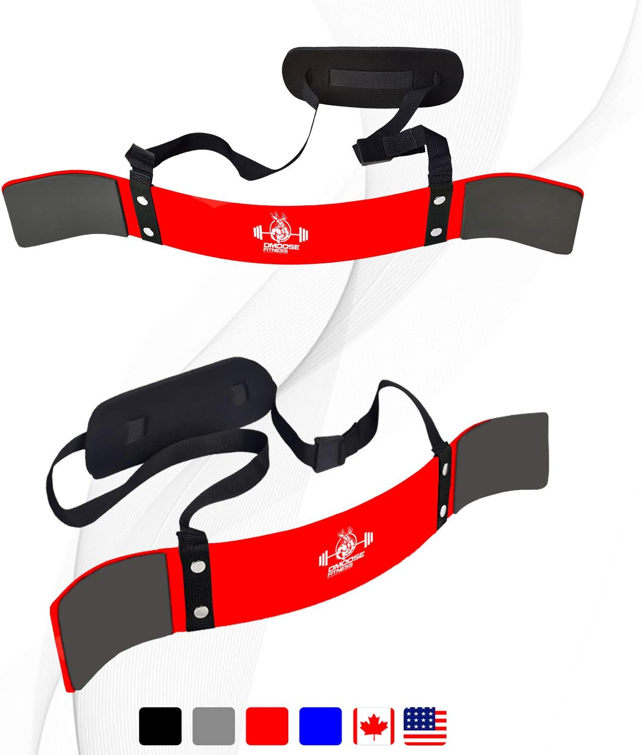 DMoose Fitness Arm Curl Blaster for Bicep Body Building and Muscle Strength Gains, Contoured and Adjustable Isolate for Curling and Weightlifting, Well Balanced Support : Sports & Outdoors