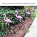 Elumaxon Flamingo Lawn Lamp - Garden Decor Solar Lights, Solar Flamingo Lights, Outdoor Decorative Stak, Solar Pink Flamingo Yard Ornaments (Pink)