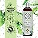 99% USDA Organic-Pure-Aloe-Vera-Gel 16oz| For Face, Hair, Skin Care & Acne, Sunburn, Bug Bite, Rashes, Eczema Relief | 100 Percent Pure & Natural Cold Pressed Aloe Vera | Chemical & Preservative Free